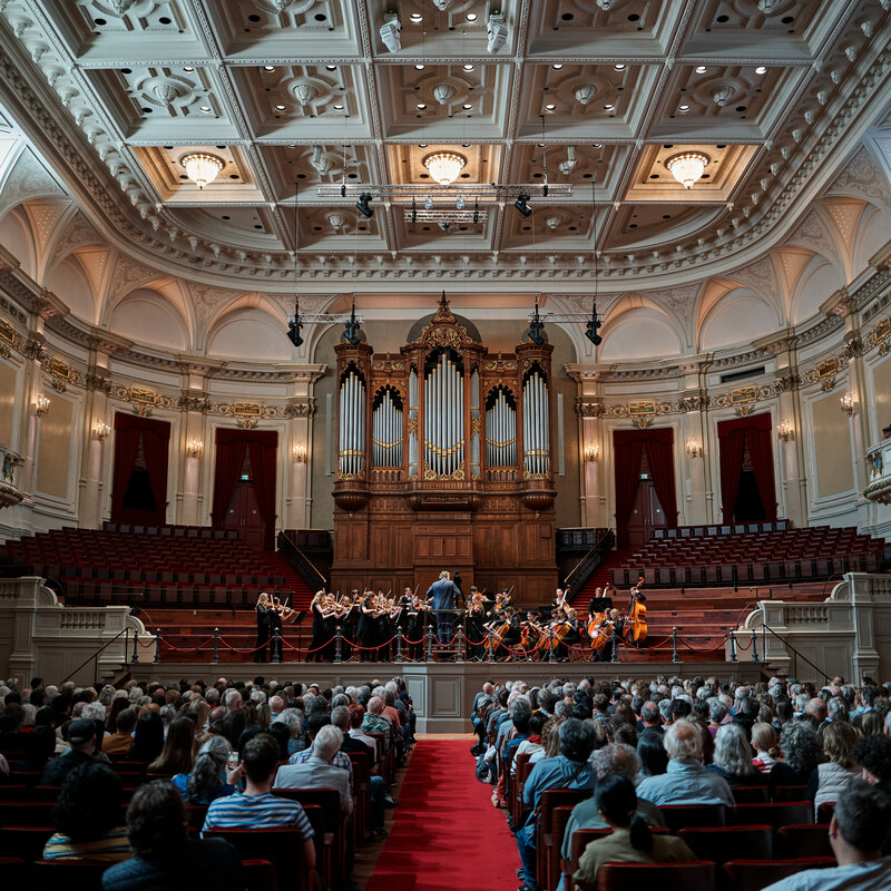 Jonge Strijkers Nederland