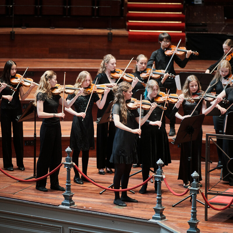 Jonge Strijkers Nederland
